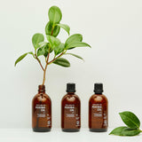 Jojoba Oil 100ml